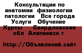 Консультации по анатомии, физиологии, патологии - Все города Услуги » Обучение. Курсы   . Свердловская обл.,Алапаевск г.